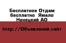 Бесплатное Отдам бесплатно. Ямало-Ненецкий АО